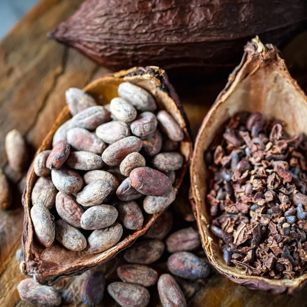 Diète-cacao